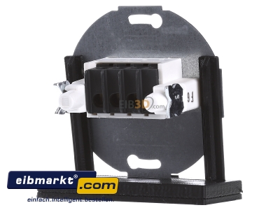 Back view Berker 457305 Basic element with central cover plate 
