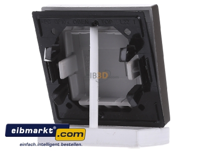 Ansicht hinten Jung A 590 L CH Wippe Symbol LICHT champ f�r Taster 