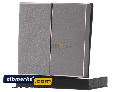 Frontansicht Jung A 595 CH Wippe champ f�r Serienschalter 