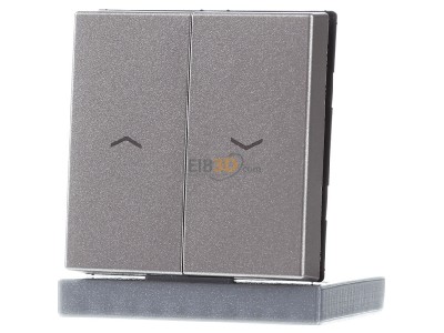 Frontansicht Jung A 595 P CH Wippe Symbole champ f�r Jal.Wippschalter 
