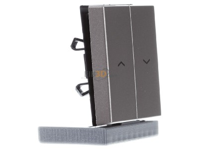 Ansicht links Jung A 595 P CH Wippe Symbole champ f�r Jal.Wippschalter 