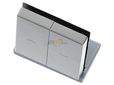 Ansicht oben vorne Jung A 595 P CH Wippe Symbole champ f�r Jal.Wippschalter 
