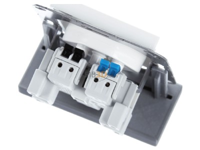 Top rear view Jung A 1520-13 BF SEV WW Socket outlet (receptacle) white 
