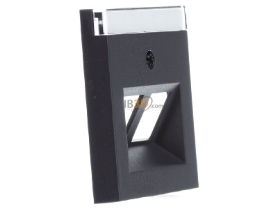 View on the left Gira 264028 Central cover plate Modular Jack 
