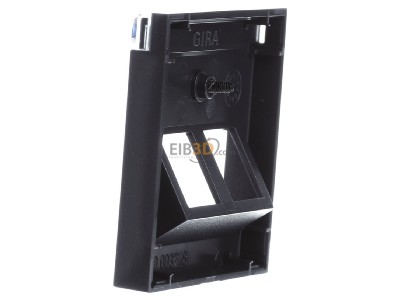 Ansicht rechts Gira 264028 Abdeckung Modular Jack 30Grd 2fach anth 