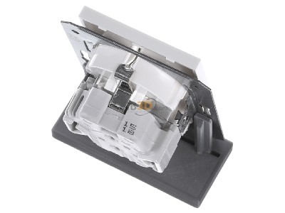 Top rear view Gira 273503 Socket outlet (receptacle) 
