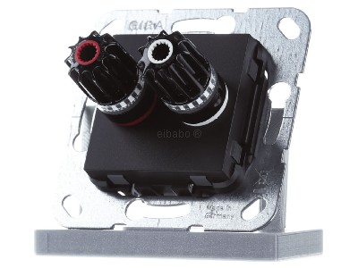 Front view Gira 566610 Basic element with central cover plate 
