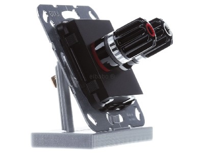 View on the left Gira 566610 Basic element with central cover plate 

