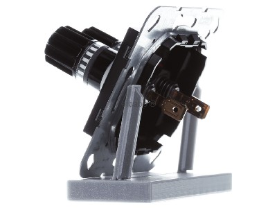 View on the right Gira 566610 Basic element with central cover plate 

