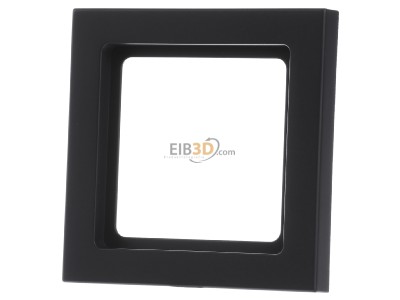 Front view Berker 10116096 Frame 1-gang anthracite 
