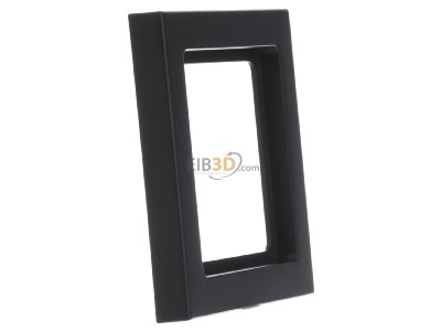 View on the left Berker 10116096 Frame 1-gang anthracite 
