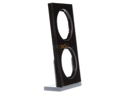 View on the left Berker 10122216 Frame 2-gang black 
