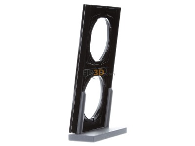 View on the right Berker 10122216 Frame 2-gang black 
