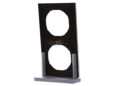 Back view Berker 10122216 Frame 2-gang black 
