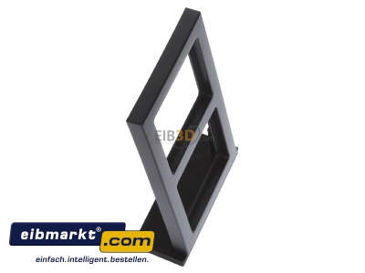 View top left Berker 10126096 Frame 2-gang anthracite
