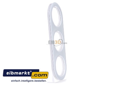 Ansicht links Berker 10132009 Rahmen Glas/pows 2fach 