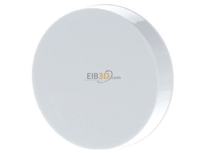 Frontansicht Berker 11372089 Zentralst�ck pows/gl f.Drehdimmer pows gl 