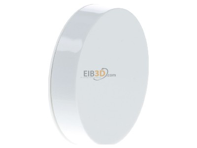 Ansicht links Berker 11372089 Zentralst�ck pows/gl f.Drehdimmer pows gl 