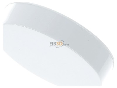 Ansicht oben vorne Berker 11372089 Zentralst�ck pows/gl f.Drehdimmer pows gl 