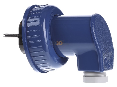 View on the right Busch-Jaeger 74 WD Plug Blue 
