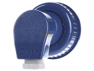 Back view Busch-Jaeger 74 WD Plug Blue 
