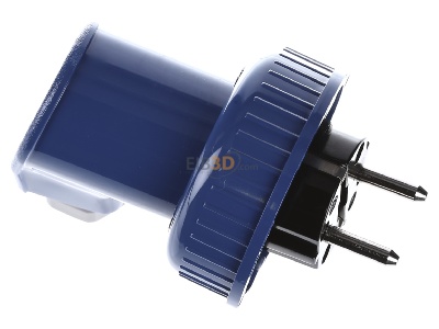 View top left Busch-Jaeger 74 WD Plug Blue 
