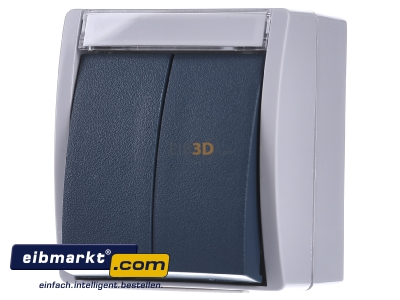 Frontansicht Busch-Jaeger 2621 WN-53-205-101 Doppeltaster 2 Schliesser AP 