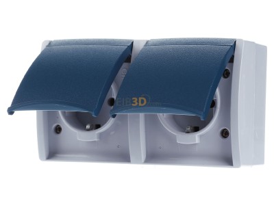 Frontansicht Busch Jaeger 20/2 EW-53 Schuko-Steckdose 2fach, waagerecht, grau/blaugrn, 