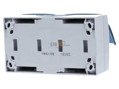 Ansicht hinten Busch Jaeger 20/2 EW-53 Schuko-Steckdose 2fach, waagerecht, grau/blaugrn, 