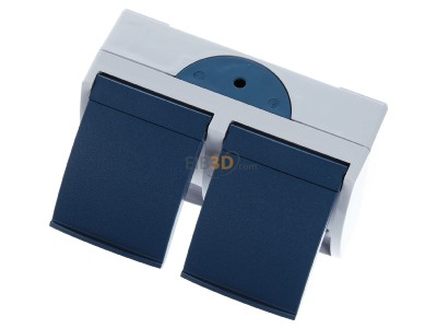Ansicht oben vorne Busch Jaeger 20/2 EW-53 Schuko-Steckdose 2fach, waagerecht, grau/blaugrn, 