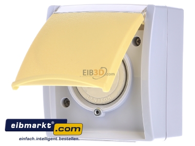 Frontansicht Busch-Jaeger 3015 EWN-53 Steckdose 