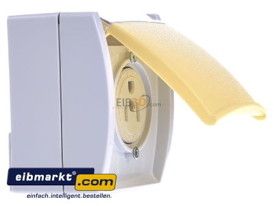 Ansicht links Busch-Jaeger 3015 EWN-53 Steckdose 