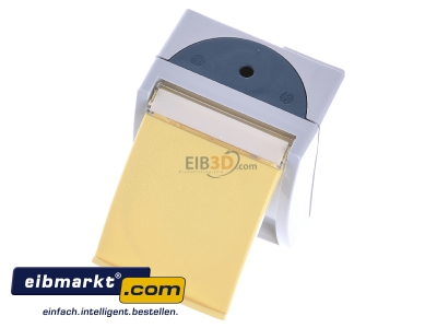Ansicht oben vorne Busch-Jaeger 3015 EWN-53 Steckdose 