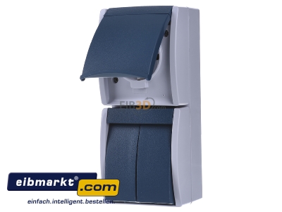 Frontansicht Busch-Jaeger 2601/5/20EW-53-503 Kombination Steckd.+Se.schalter 