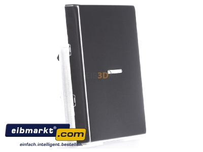 Ansicht links Jung ES 2990 KO5 Wippe f�r Taster 