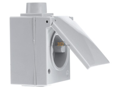 View on the left Busch Jaeger 2064 AG Surface mounted perilex socket 25A 
