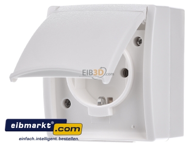 Frontansicht Busch-Jaeger 20 EW-54 Schuko-Steckdose mit Klappdeckel 