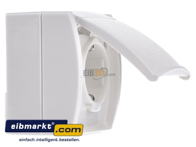 Ansicht links Busch-Jaeger 20 EW-54 Schuko-Steckdose mit Klappdeckel 