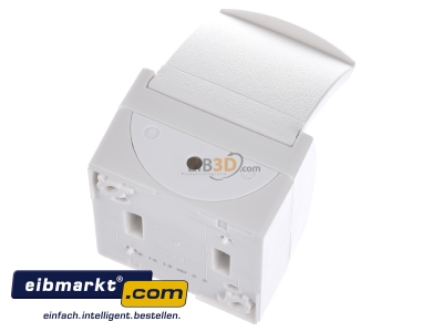 Ansicht oben hinten Busch-Jaeger 20 EW-54 Schuko-Steckdose mit Klappdeckel 