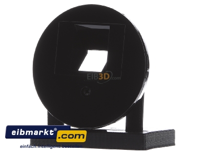 Frontansicht Berker 14072045 Zentralstck sw/gl f. UAE Steckdose 