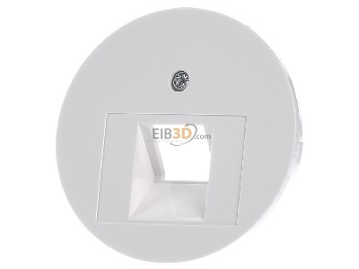 Frontansicht Berker 14072089 Zentralstck pows/gl f. UAE Steckdose 