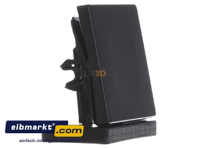 Ansicht links Berker 16206086 Wippe anth/sa 