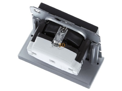 Ansicht oben hinten Berker 41436086 SCHUKO-Steckdose anth/sa 