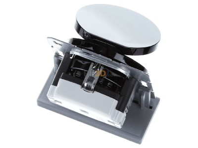 Ansicht oben hinten Berker 47512045 SCHUKO-Steckdose sw/gl m. Klappdeckel 