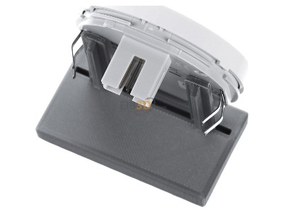Ansicht oben hinten Berker 85141139 Taste 1fach polarwei gl 