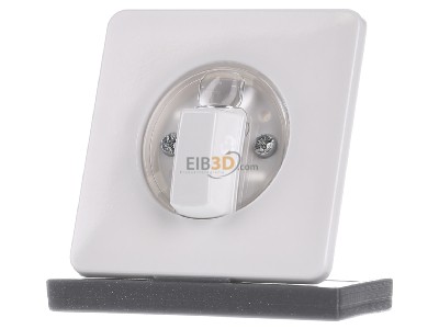 Frontansicht Jung CD 1541 WW Abdeckung f�r Drehschalter 