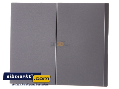 Frontansicht Berker 85142173 Taste 2fach edelstahl matt, lack 