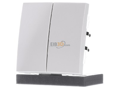 Front view Berker 85648189 EIB, KNX touch rocker white, 
