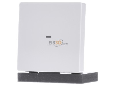 Front view Berker 85655229 EIB, KNX complete transmitter, 
