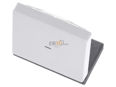 View up front Berker 85655229 EIB, KNX complete transmitter, 
